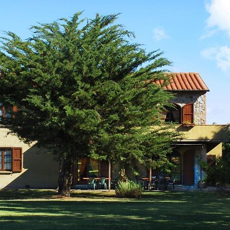 Appartamento Uva - Agriturismo Le Selvole 포마란체 외부 사진